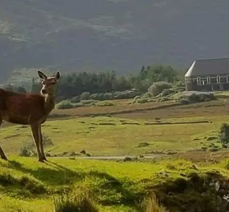 Apartment Errigal Gweedore