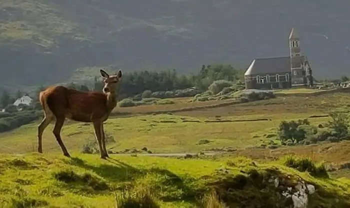 アパート Errigal グウィドー